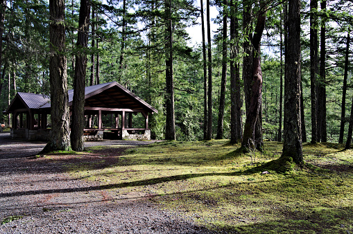 View of outdoor public park building offering indoor space with picnic tables built in open concept surrounded by healthy forest trees and hiking trail system