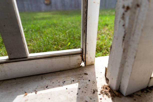 修理を必要とするポーチの外装網戸に損傷した木材のクローズアップ。 - screen door door porch house ストックフォトと画像