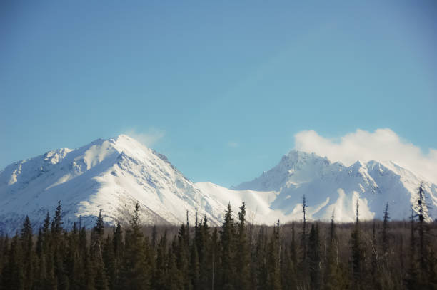 istock Mountains of Alaska 1215614996
