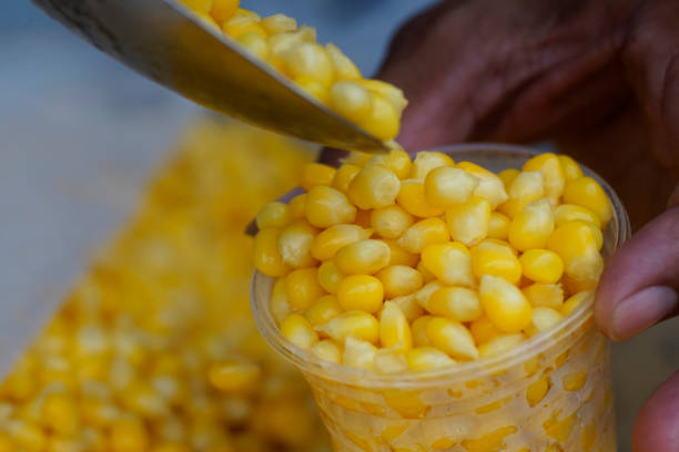 Ripe corn seed is pouring into a transparent plastic cup