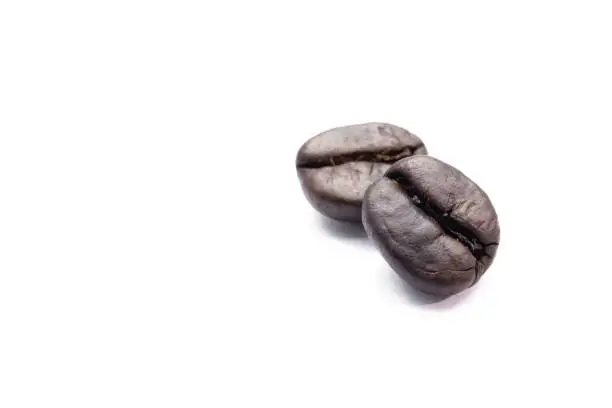 Macro shot show the detail and character of thecoffee  bean isolated in white background