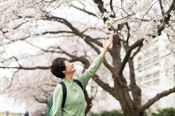 istock Senior woman touching cherry blossoms 1215621766