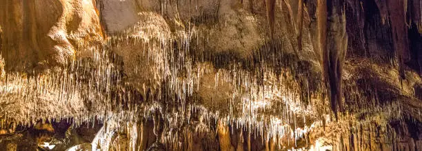 In the heart of the gorges de l'Ardeche, the cave of Saint Marcel d Ardeche will transport you in an enchanting universe