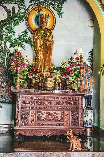 Being the tallest Buddha statue in Vietnam, Lady Buddha is located at Linh Ung Pagoda on Son Tra Peninsula in Da Nang.