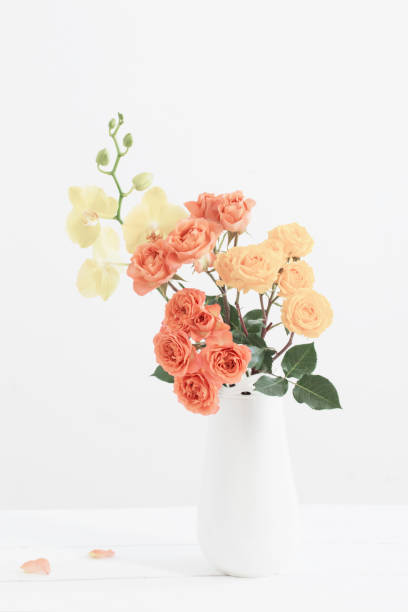 istock roses and orchids in vase on white background 1215631312