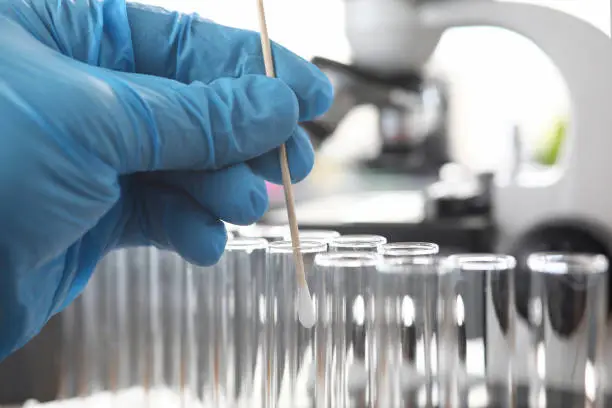 Scientist wearing protective gloves examining dna samples holding cotton stick close-up