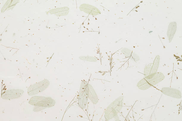 Handmade paper with leaves and stems embedded stock photo