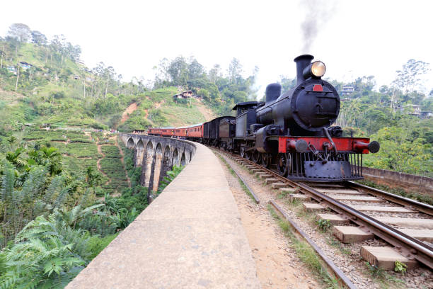 istock Steam train on the Nine Arches Demodara Bridge 1215642197