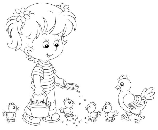ilustrações, clipart, desenhos animados e ícones de menina alimentando filhotes pequenos - young bird baby chicken poultry chicken