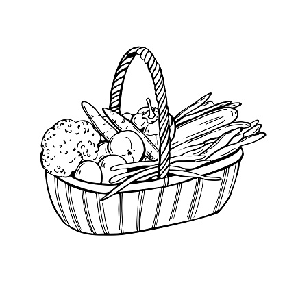 Hand drawn basket with vegetables. Vector sketch  illustration.