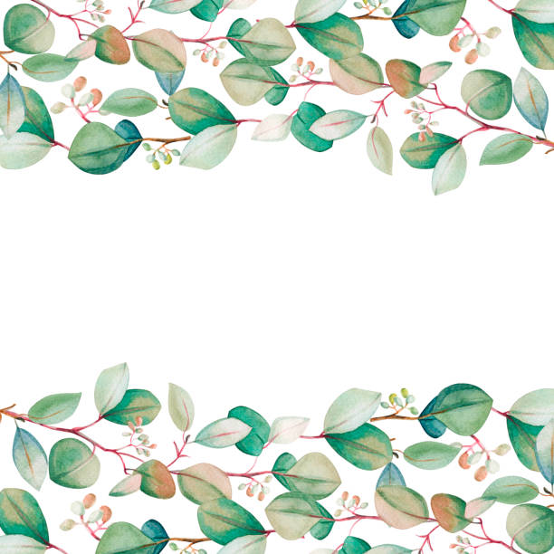 istock Watercolor floral eucalyptus leaf set. Hand drawn spring and summer decorative illustration. 1215647364