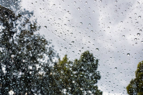 istock Drops of rain on the window; blurred trees in the background 1215647380