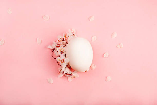 istock Easter composition white and brown eggs lie on a pink background with sakura flower petals 1215647705