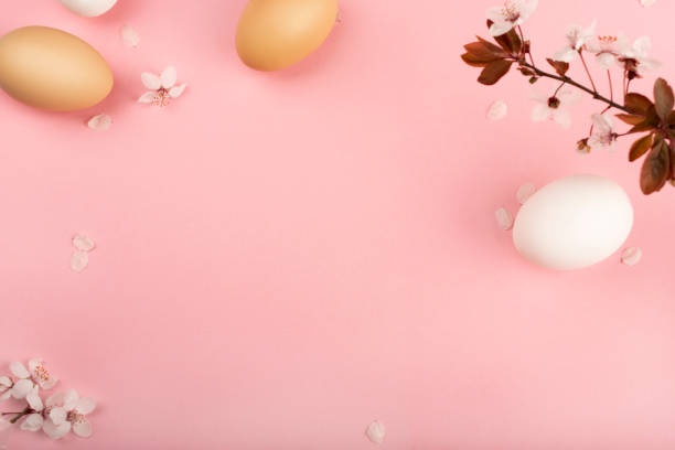 istock Easter composition white and brown eggs lie on a pink background with sakura flower petals 1215647715