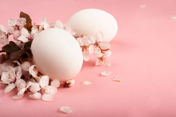 istock Easter composition white and brown eggs lie on a pink background with sakura flower petals 1215647717