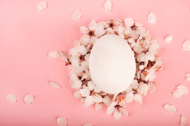 istock Easter composition white and brown eggs lie on a pink background with sakura flower petals 1215647879