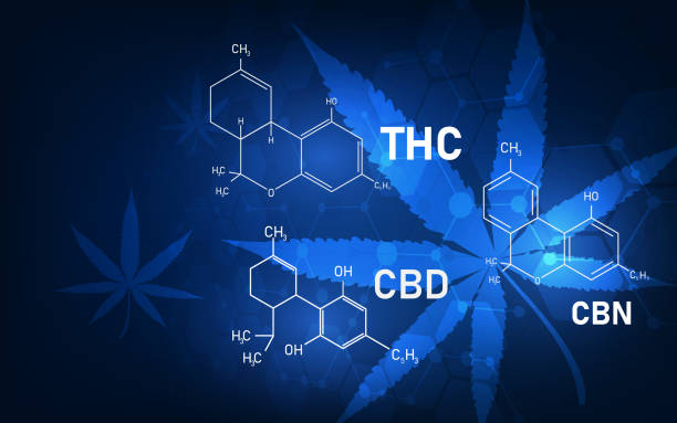 cannabis molecular structure medical concept background cannabis molecular structure medical concept background medical cannabis stock illustrations