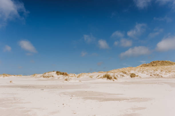 istock Wide sand beach landscape, sunny day, blue sky, Amrum, Germany 1215652831
