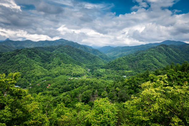 istock Beautiful green mountain and blue sky 1215654221