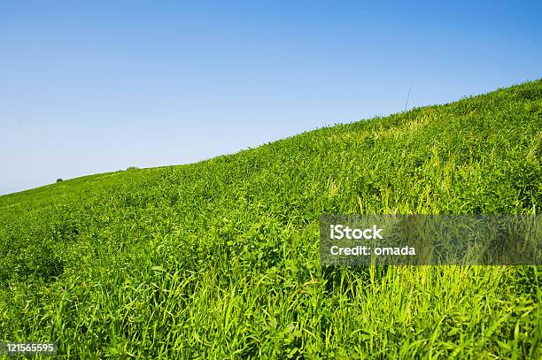 Campo Verde - Fotografie stock e altre immagini di Ambientazione esterna - Ambientazione esterna, Ambientazione tranquilla, Ambiente