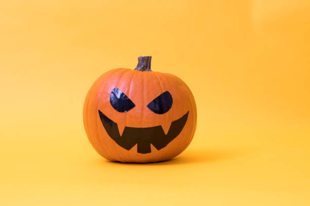 istock halloween pumpkins in color background 1215657343