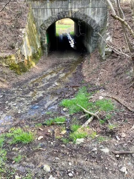 Photo of Old railroad and bridges , northern Italy