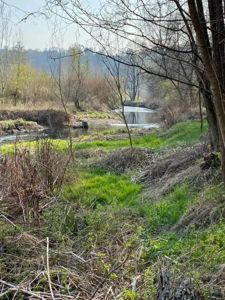 Photo of Old railroad and bridges , northern Italy