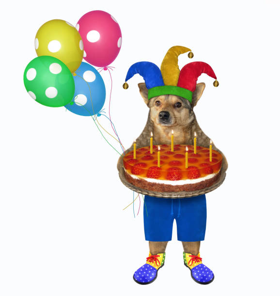 istock Dog clown with holiday pie 1215663465