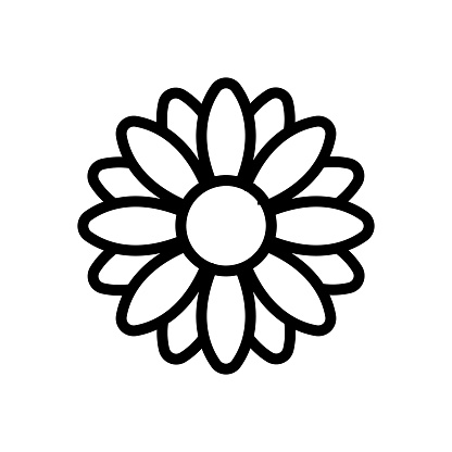 fragrant chrysanthemum icon vector. fragrant chrysanthemum sign. isolated contour symbol illustration