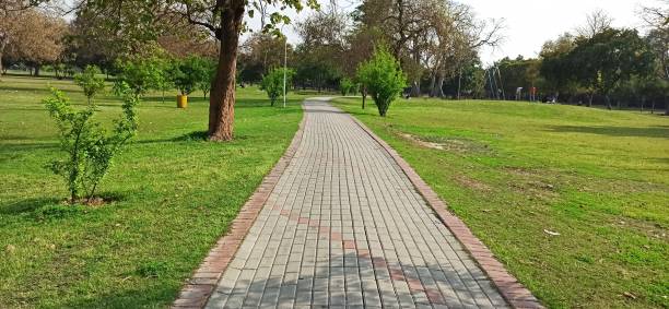 istock Morning walk park jogging track 1215666067