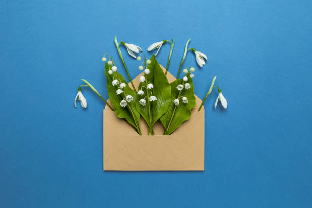 istock Spring flowers in a mail envelope on a blue background. Romantic birthday greetings, creative wedding invitation. Snowdrops, lilies of the valley 1215667897