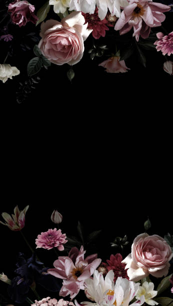 Hoa nền đen là một chủ đề hot trong thời gian gần đây. Hãy tự mình trải nghiệm và khám phá những bức ảnh hoa tuyệt đẹp trên nền đen mà chúng tôi cung cấp. Sự tinh tế và quyến rũ của chúng sẽ khiến bạn hài lòng.