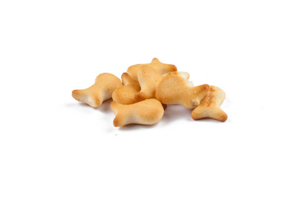 istock Salty snacks isolated on white background.Copy space. 1215669926