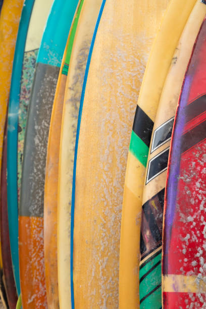 istock Beautiful colorful surfboards in Bali. 1215669927