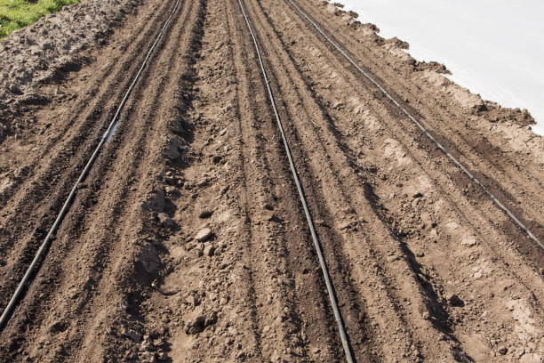 istock farmland with drip irrigation system, ready for spring planting 1215670744