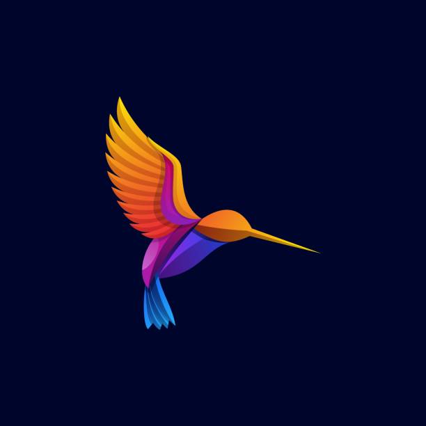 illustrazioni stock, clip art, cartoni animati e icone di tendenza di illustrazione vettoriale flaying bird gradient stile colorato. - colibrì
