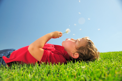 Young boy (4 years old) outdoors holding a seeded dandelion, blowing and making a wish of hope and new beginnings on green under a bright blue sky.
