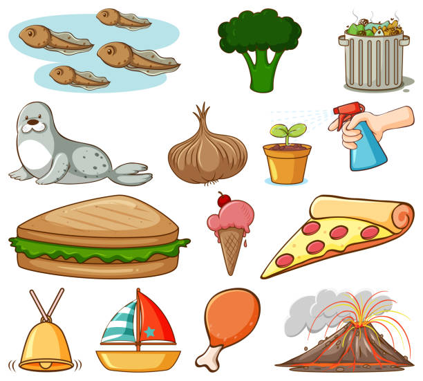 Large Set Of Different Food And Other Items On White Background Stock  Illustration - Download Image Now - iStock