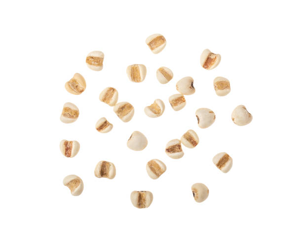 istock Job's tears isolated on white background. top view 1215676874