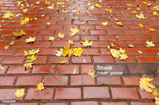 Abrió La Acera Con Follaje De Otoño Foto de stock y más banco de imágenes de Acera - Acera, Aire libre, Amarillo - Color