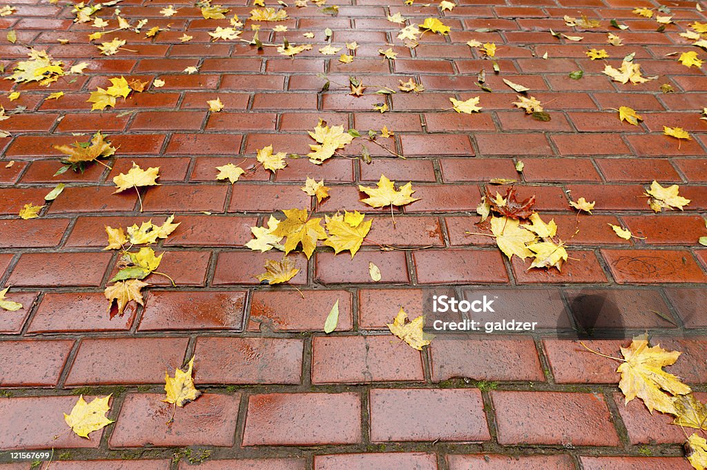 紅葉がすっかり敷きの歩道に - まぶしいのロイヤリティフリーストックフォト