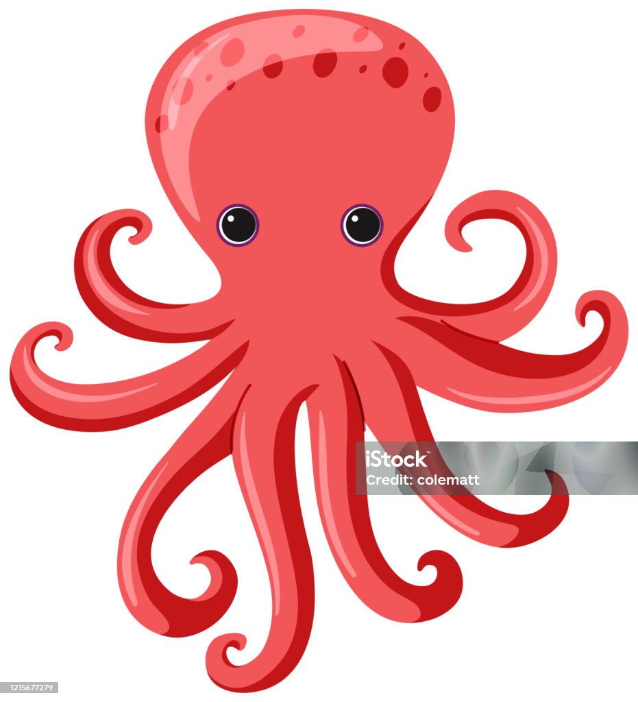 One Red Octopus On White Background Stock Illustration - Download Image Now  - Octopus, Illustration, Clip Art - iStock