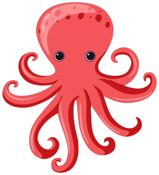 One red octopus on white background One red octopus on white background illustration octopus stock illustrations