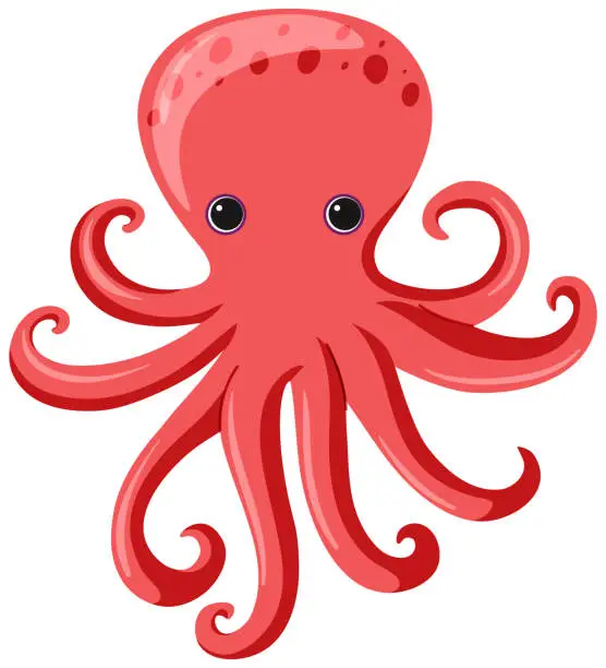 Vector illustration of One red octopus on white background