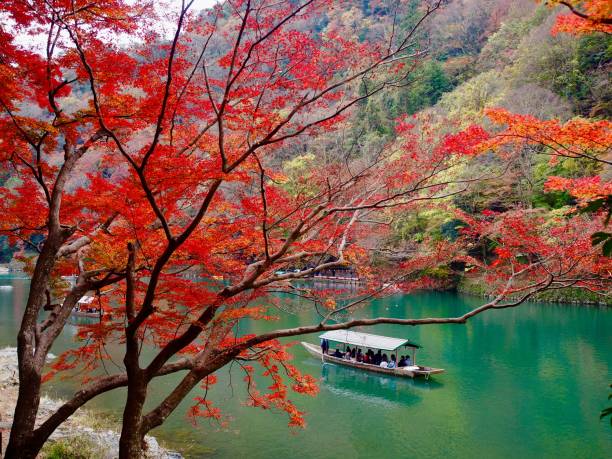 istock Japanese river in autumn 1215682681