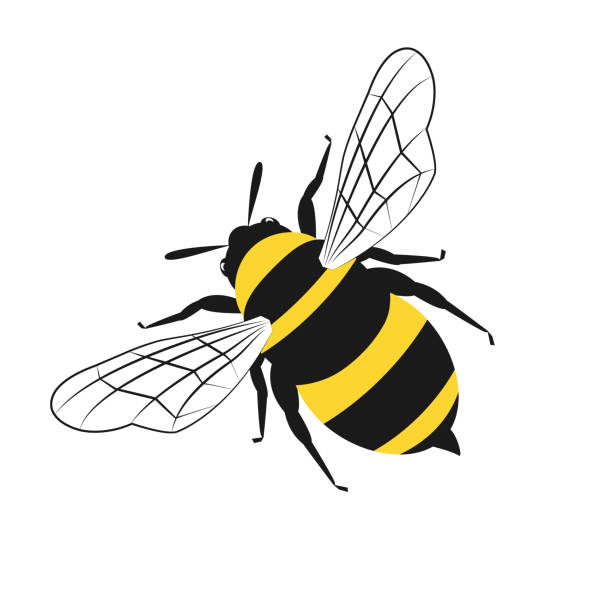옐로우와 블랙 꿀벌의 사랑스러운 심플한 디자인 - stinging stock illustrations