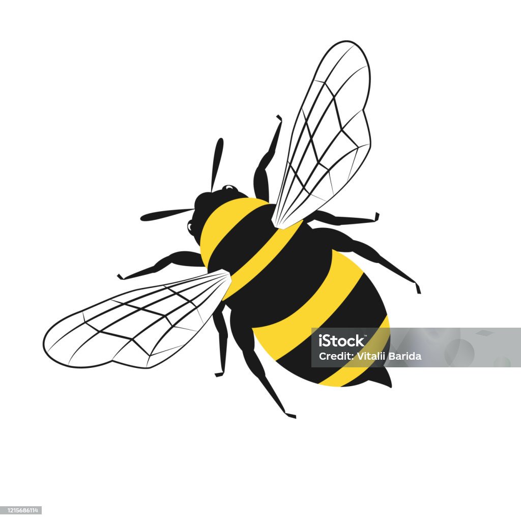 Lovely Simple Design Of A Yellow And Black Bee Stock Illustration