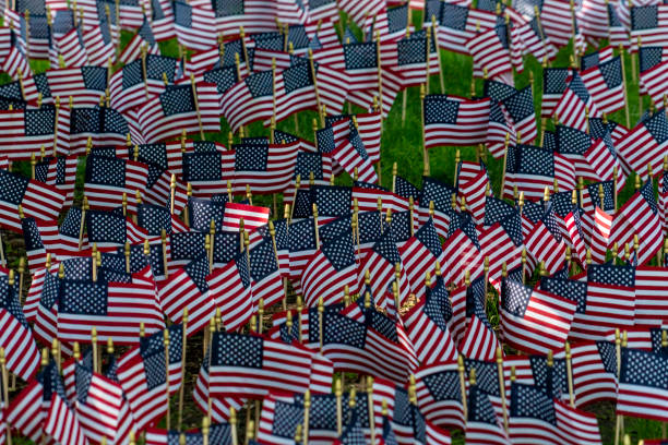 istock Many usa flags on green field 1215688793