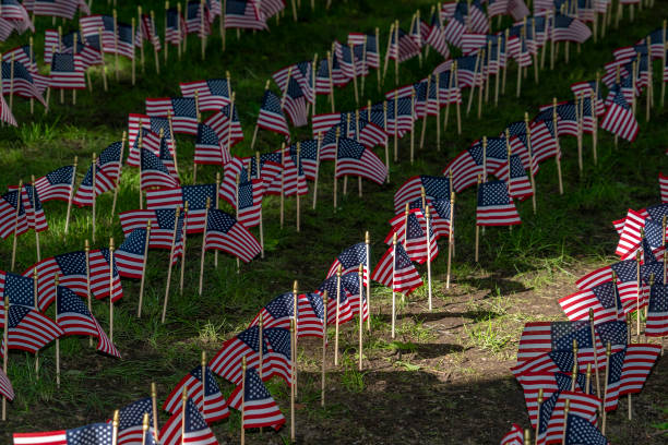 istock Many usa flags on green field 1215688808