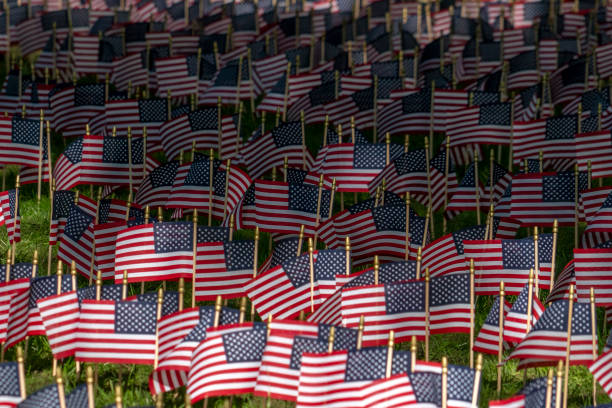 istock Many usa flags on green field 1215688864